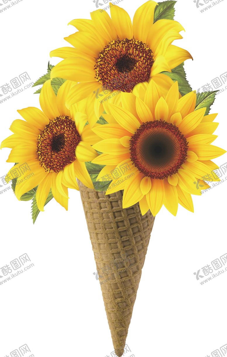 编号：46632509171059561861【酷图网】源文件下载-太阳花