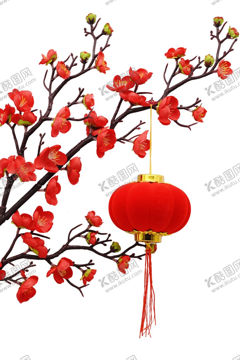 编号：94935706190121232507【酷图网】源文件下载-梅花素材