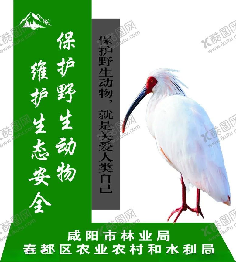 编号：81234902280326425680【酷图网】源文件下载-保护野生动物