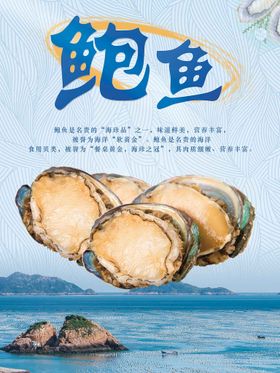 鲍鱼海报