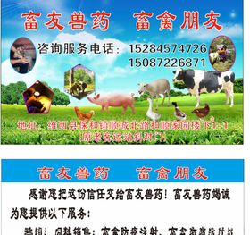 高义兽药名片 代金券 