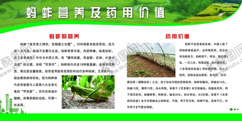 编号：27055301251351227263【酷图网】源文件下载-校园展板活动掠影企业文化