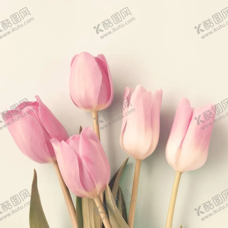 编号：68580312061239008150【酷图网】源文件下载-粉紫色百合花挂画装饰画
