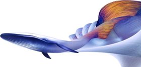 单品元素小物件免扣素材p