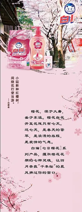 白猫展架