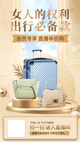 女士出行必备精致箱包