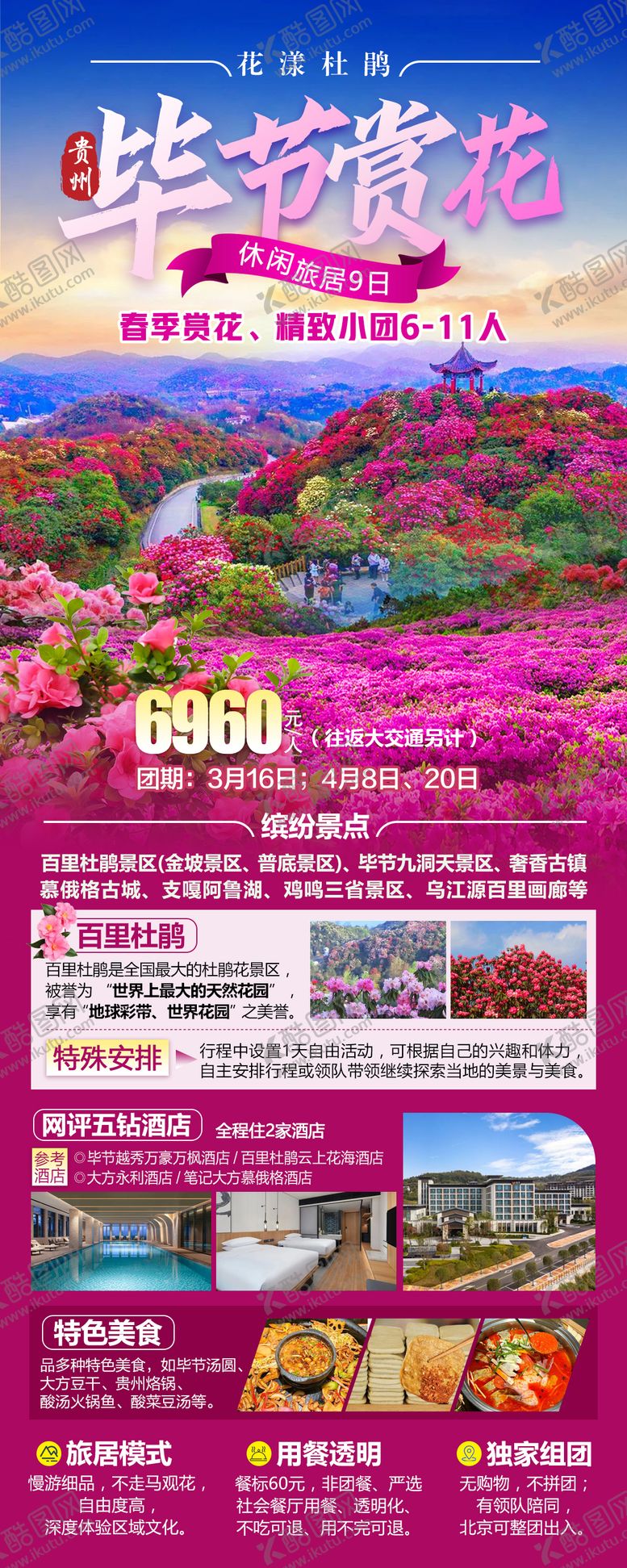 编号：69435002181056191008【酷图网】源文件下载-毕节赏花杜鹃花春季赏花
