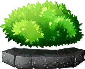 绿色植物