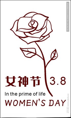 女神节玫瑰主题标识