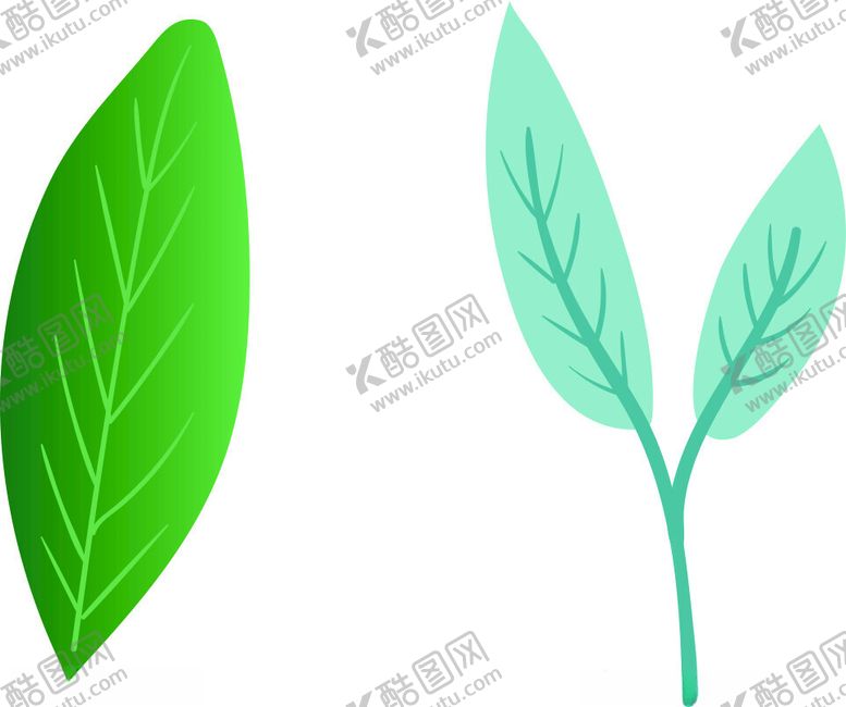 编号：79557602172011051795【酷图网】源文件下载-树叶