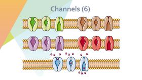 细胞生物学和组织学