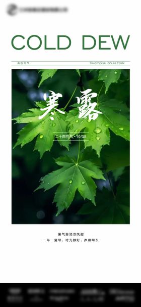 二十四节气寒露海报简约版式枫叶