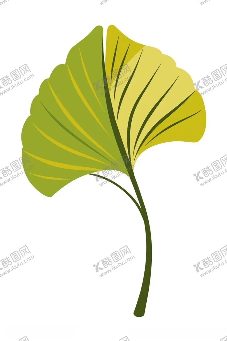 编号：71074201270342335754【酷图网】源文件下载-银杏矢量插图图标