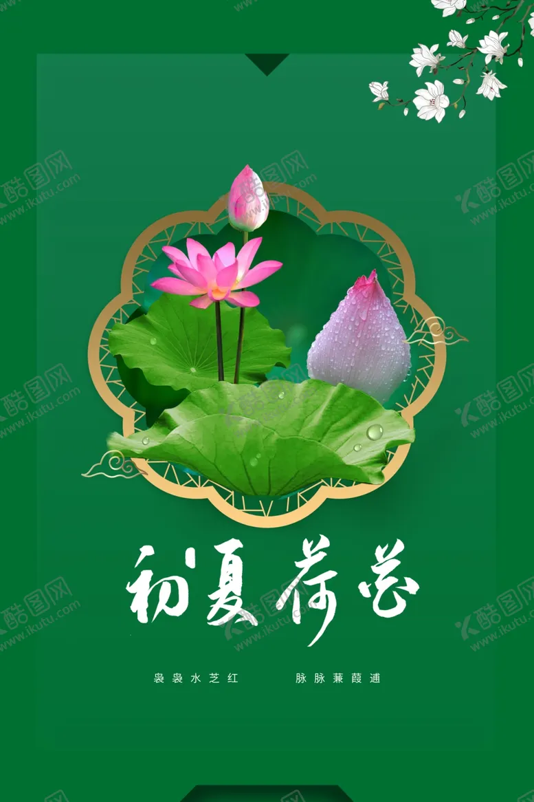 编号：36407112251131217641【酷图网】源文件下载-初夏荷花