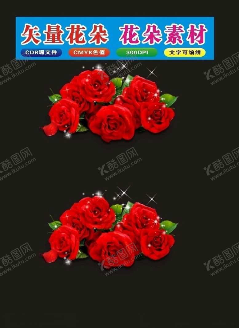 编号：16654809240443507769【酷图网】源文件下载-花植物月季红色花朵