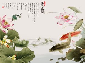 荷花背景墙