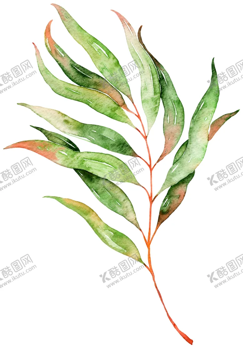 编号：37443507021451351609【酷图网】源文件下载-绿叶