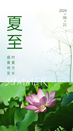 夏至海报简约房地产荷花大气