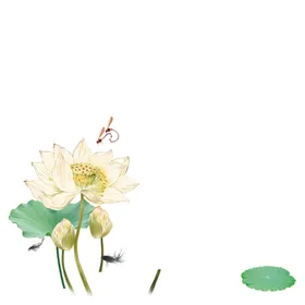 荷花素材中国风立夏背景清廉夏至