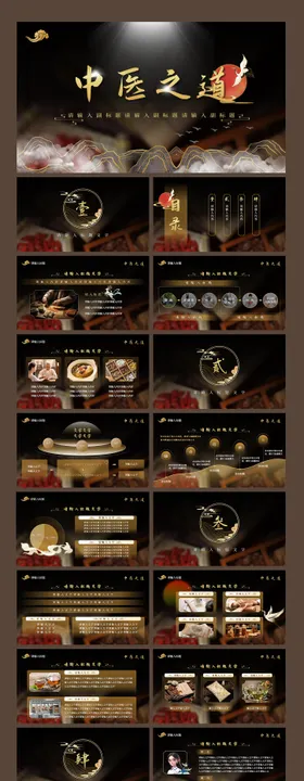 黑金高端大气中国风中医养生PPT