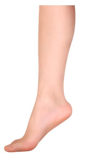 小腿