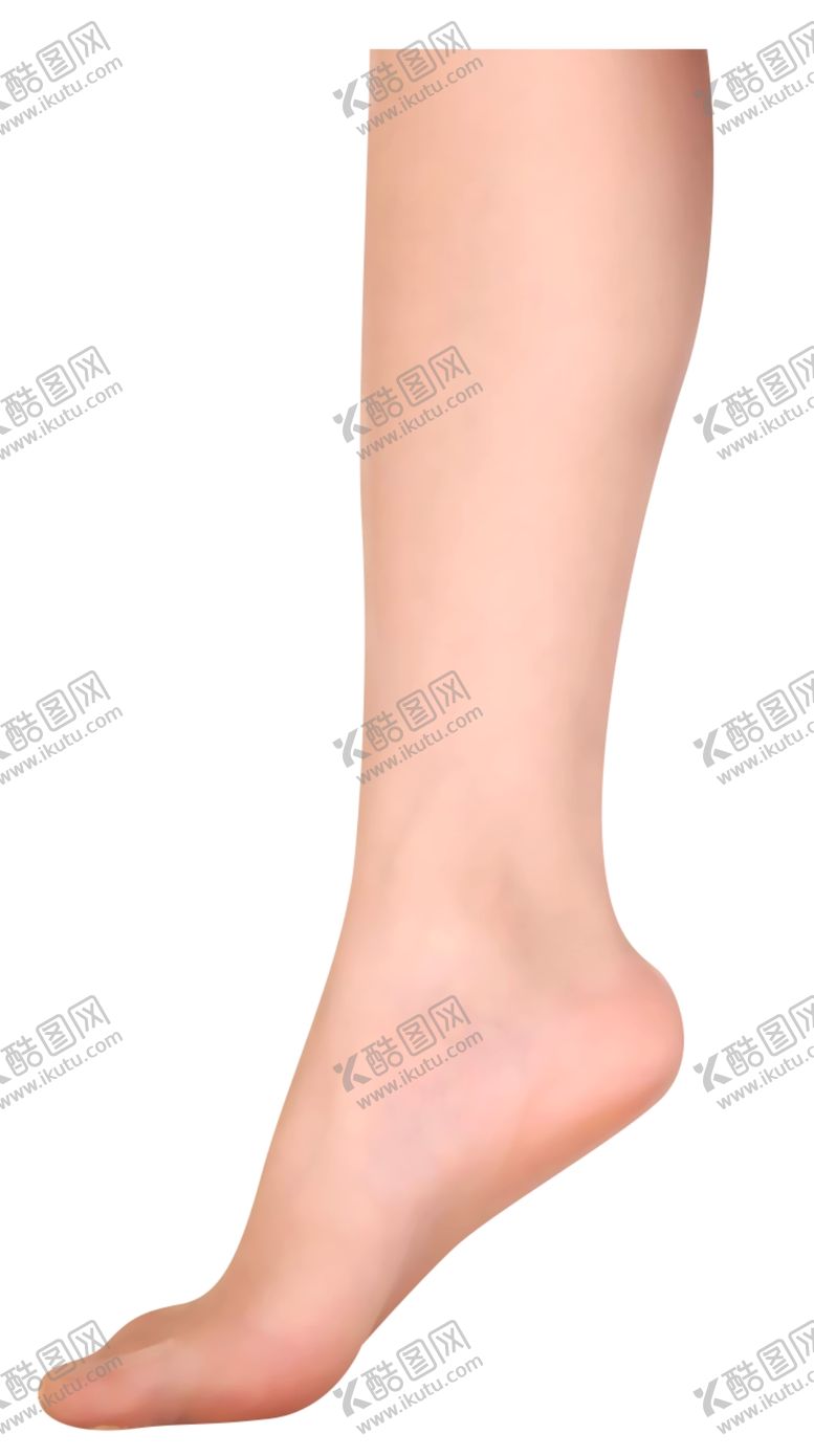 编号：28830105032145169672【酷图网】源文件下载-小腿