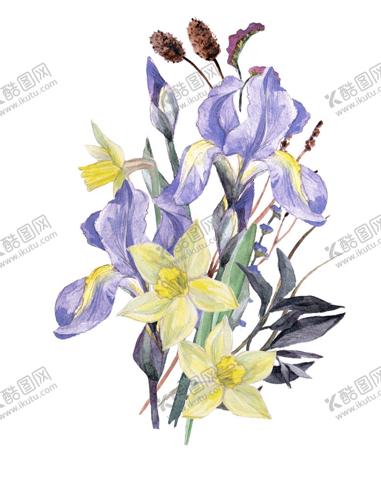 编号：91472110111413104495【酷图网】源文件下载-水彩绘画浪漫花朵