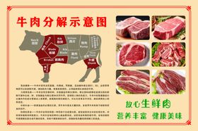 牛肉分解图