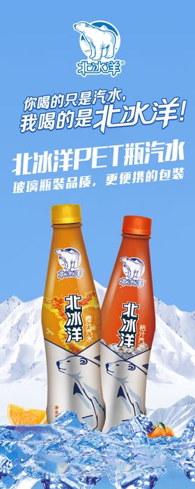 北冰洋PET瓶汽水