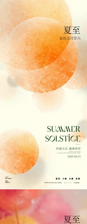 夏至荔枝节气海报