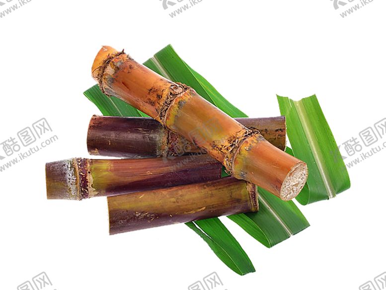 编号：49533709232318263417【酷图网】源文件下载-水果