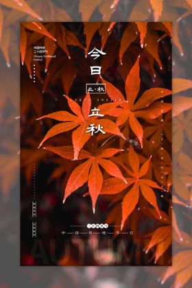 金秋创意节气海报