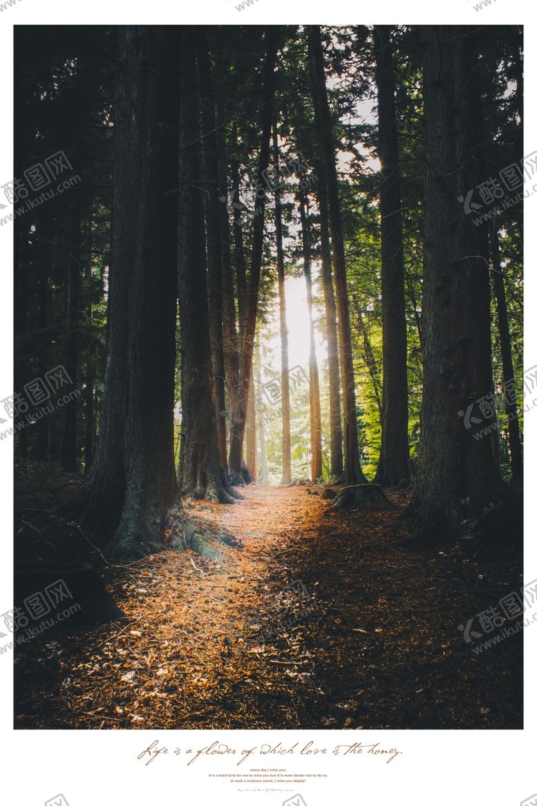 编号：42357709220526277736【酷图网】源文件下载-装饰画