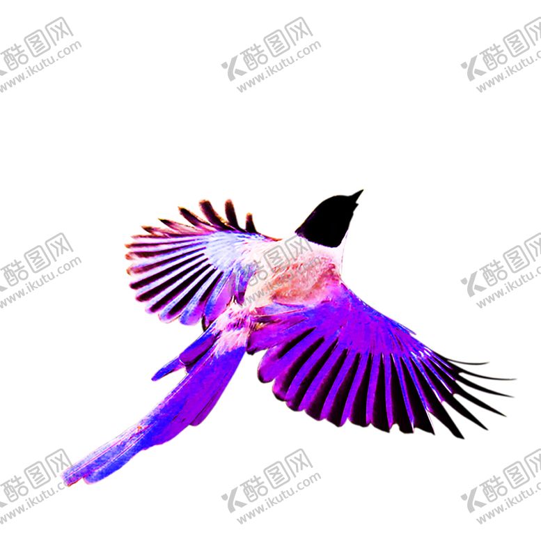 编号：96550009101404106631【酷图网】源文件下载-浪漫素材