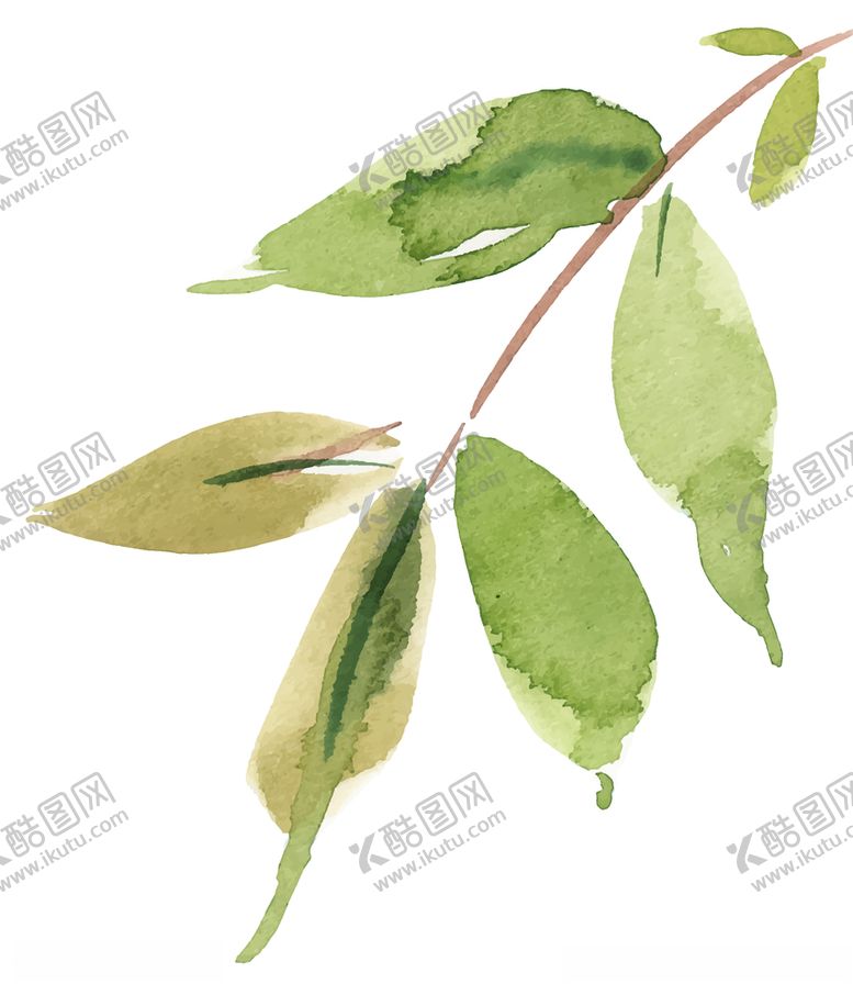 编号：90675807090659425510【酷图网】源文件下载-水彩创意花朵植物