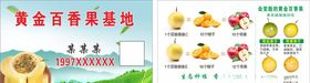 百香果基地