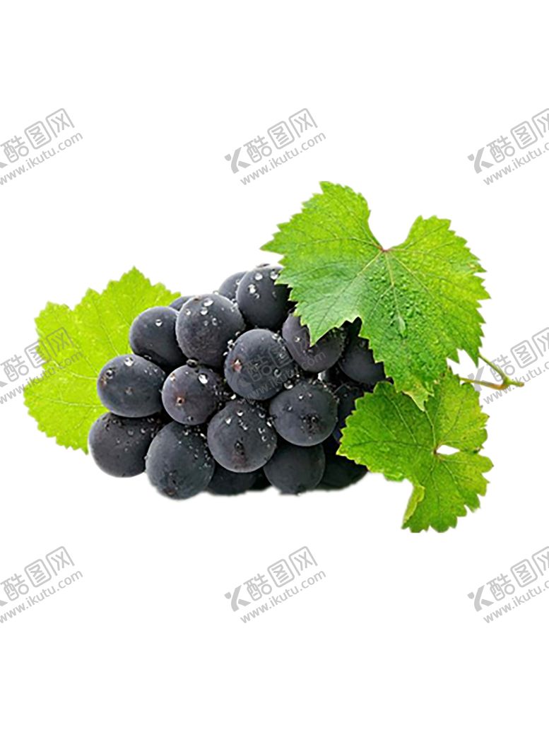 编号：28215207081916321409【酷图网】源文件下载-水果