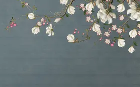 花鸟画玉兰马头墙背景墙