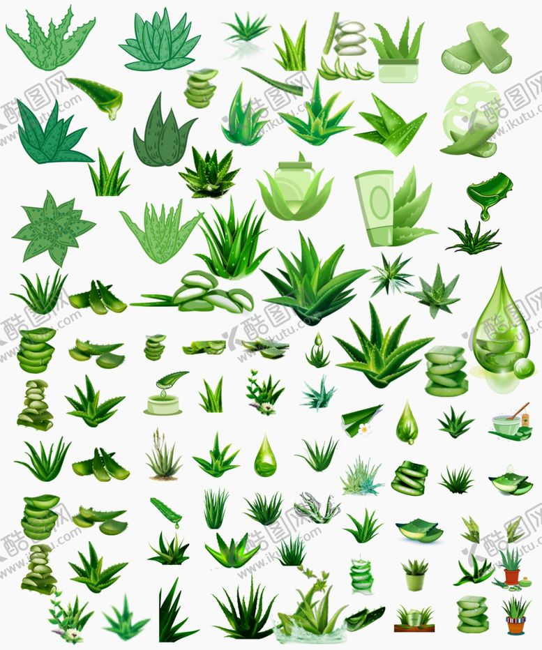 编号：49739809150536058184【酷图网】源文件下载-芦荟