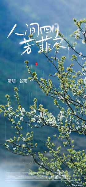 清明节谷雨海报