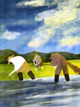 插画素材植物叶子明信片