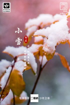 24节气海报  小雪