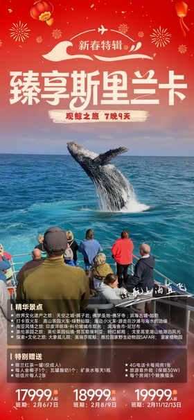 斯里兰卡观鲸之旅