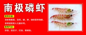 南极磷虾