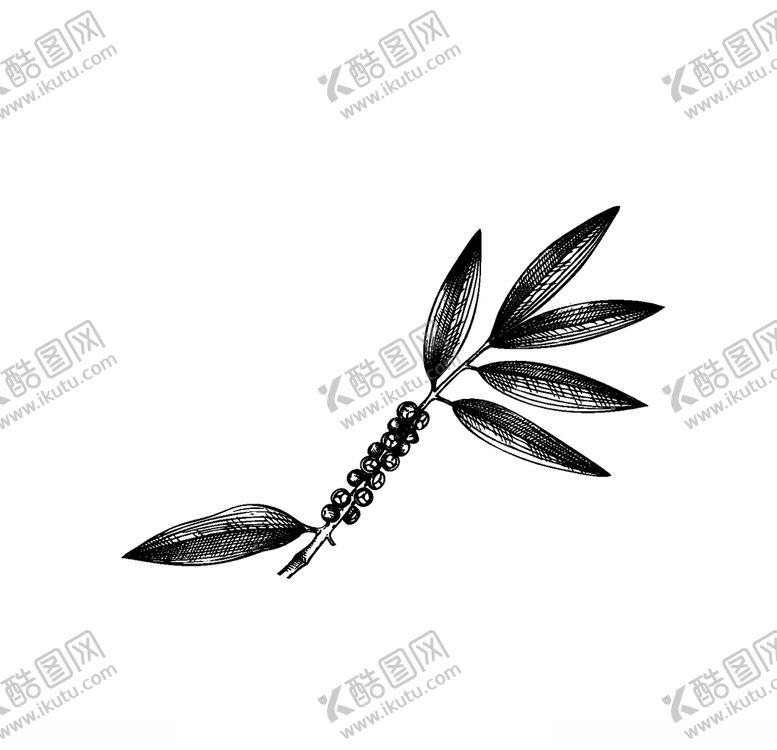 编号：88292107040749068859【酷图网】源文件下载-手绘植物