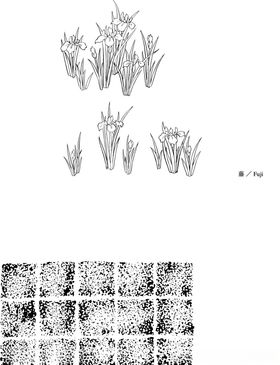 日本线描植物花卉矢量素材