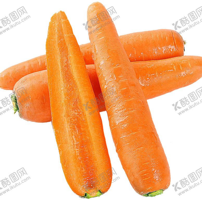 编号：29466503252029049573【酷图网】源文件下载-萝卜