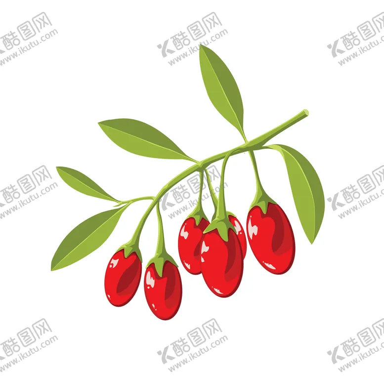 编号：72458609260556040567【酷图网】源文件下载-枸杞