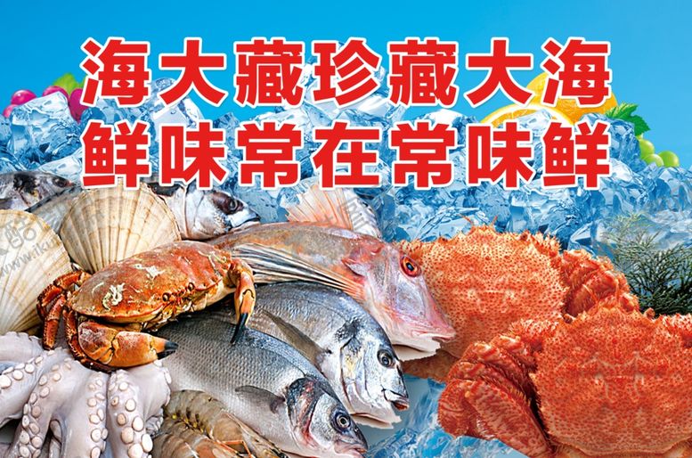 编号：15180907010841524151【酷图网】源文件下载-海鲜