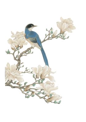 花鸟